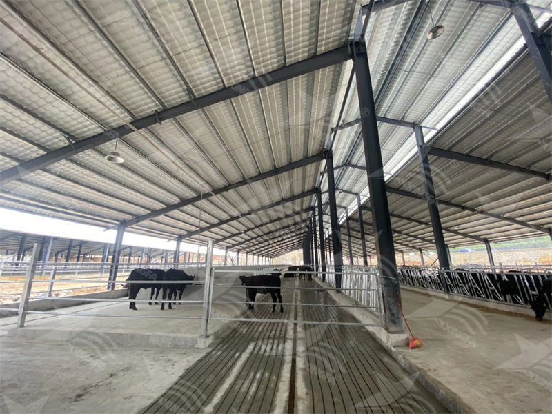 樹脂瓦：養(yǎng)殖場的夏日守護者，為小動物打造涼爽樂園